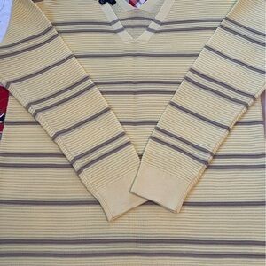 Talbots Women’s V-Neck Sweater in Yellow and Brown Stripes